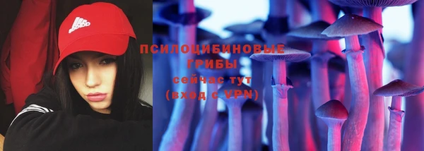 шишки Мегион