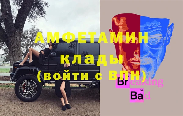 шишки Мегион