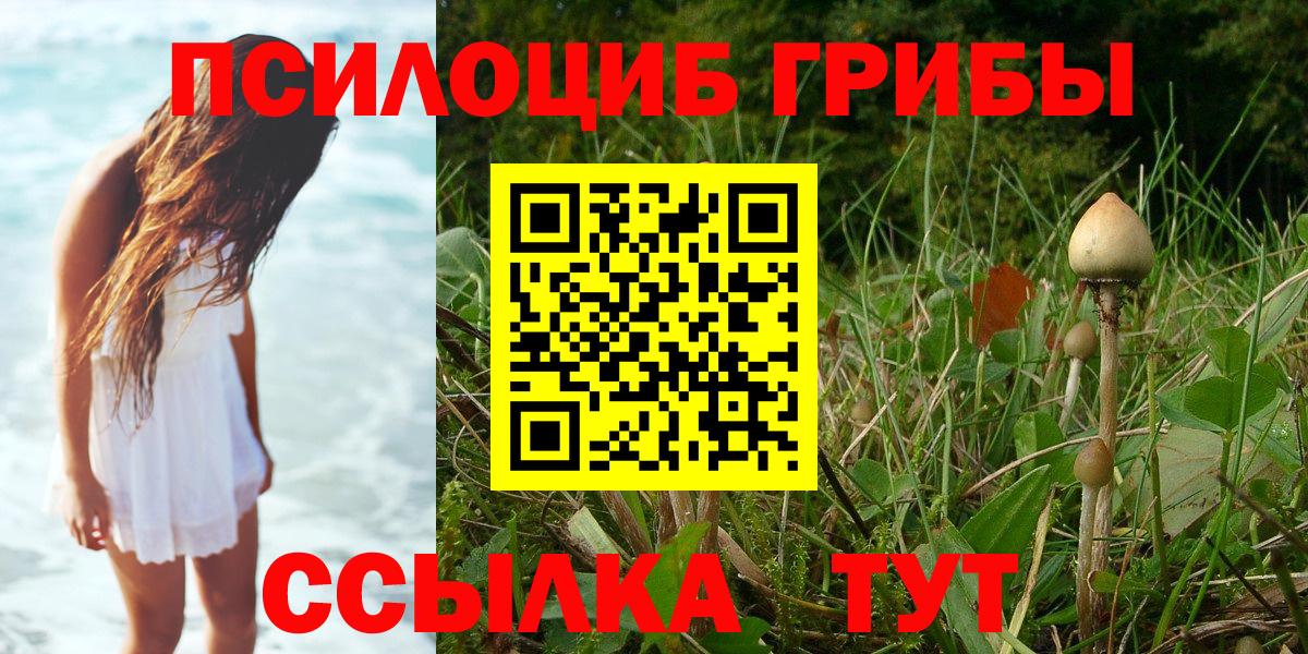 Галлюциногенные грибы Magic Shrooms Великий Новгород