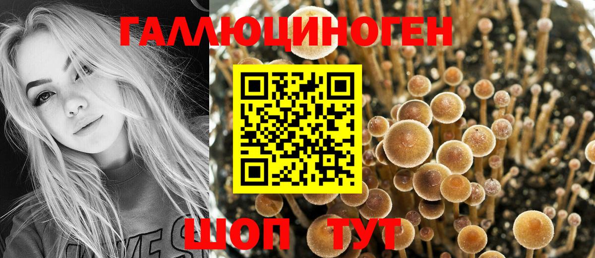 Галлюциногенные грибы мицелий  Вход с VPN  Великий Новгород 